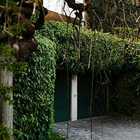 Exclusive With View-private Galbiate