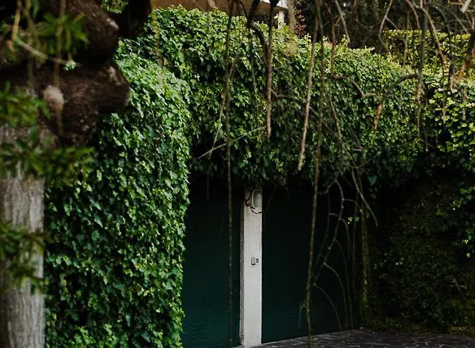 Exclusive With View-private Galbiate